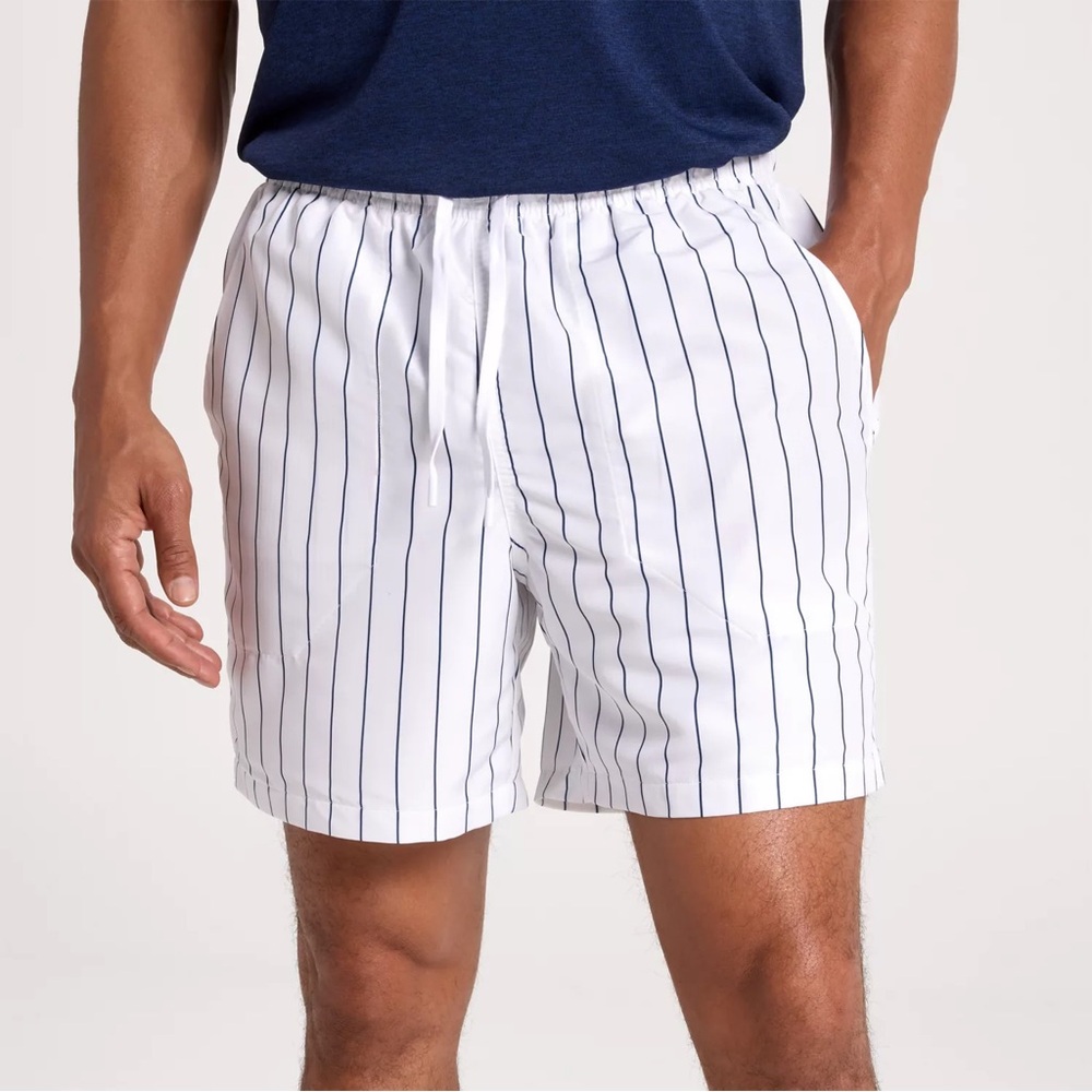 DSG Men's 6" Rec Short - Pinstripe Pure White XL